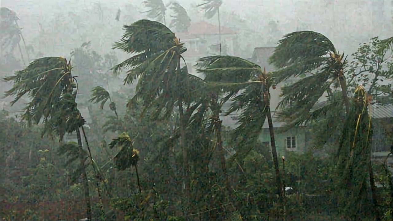 Wider Impact: From Odisha to Karnataka